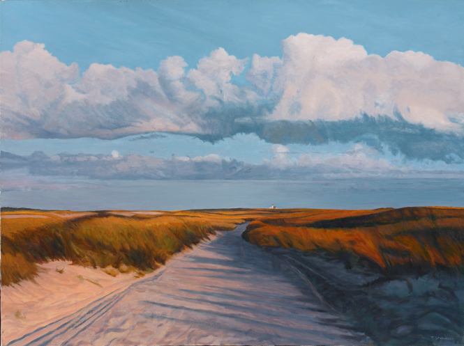 TOM STEINMANN, Cape Cod landscape artist