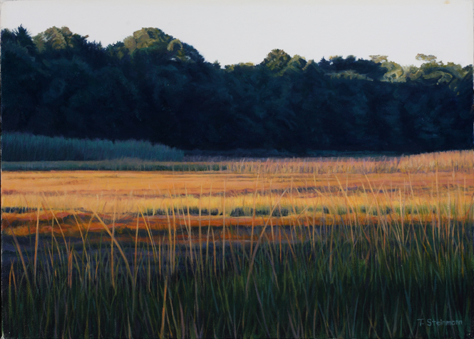 TOM STEINMANN, Cape Cod landscape artist