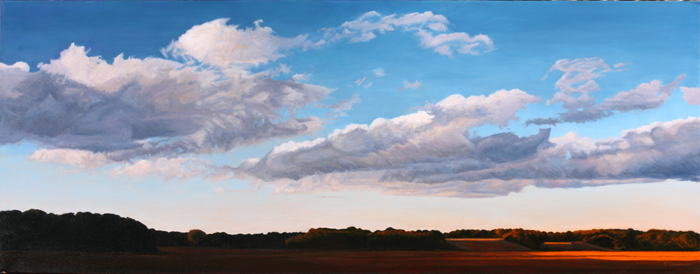 marsh views of Cape Cod