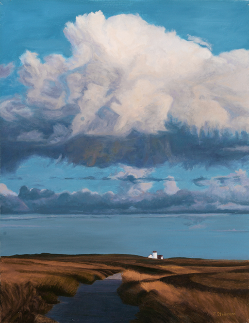 TOM STEINMANN, Cape Cod landscape artist