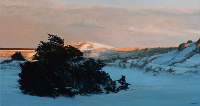 TOM STEINMANN, Cape Cod landscape artist